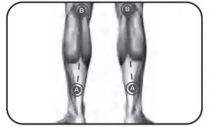 Bob-AND-Brad-D6-Pro-C-Massage-Gun-29