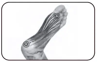 Bob-AND-Brad-D6-Pro-C-Massage-Gun-30