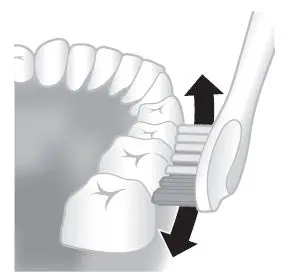 PHILIPS-7300-Sonicare-ExpertClean-Electric-Toothbrush-FIG-1 (4)