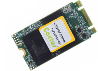 Cactus M.2 SSD -270PM6 Series Commercial Grade-product