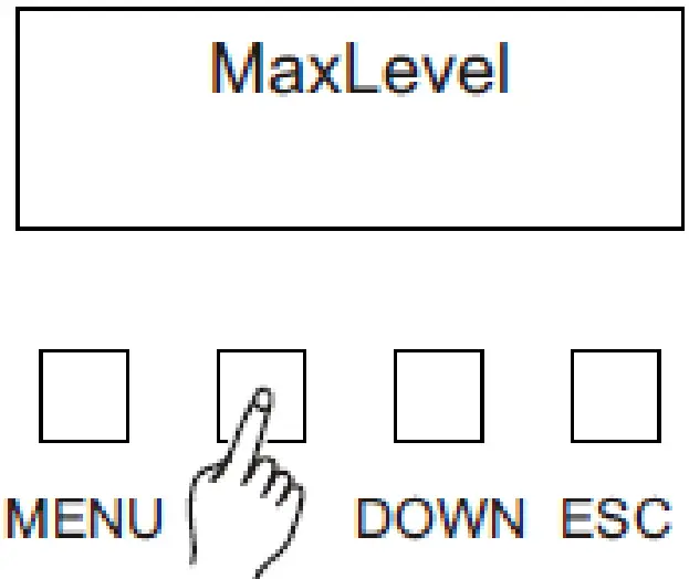 Max Level