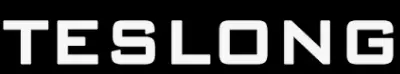 TESLONG Logo