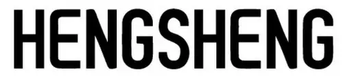 HENGSHENG logo