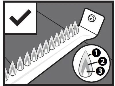 BLACKSTONE-1832-17-Inch-Griddle-22