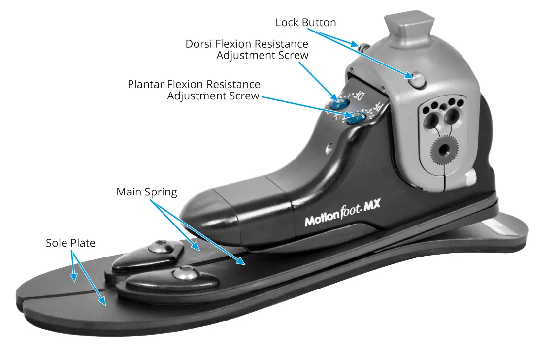 fillauer Motionfoot MX Dynamic Prosthetic Foot - Components