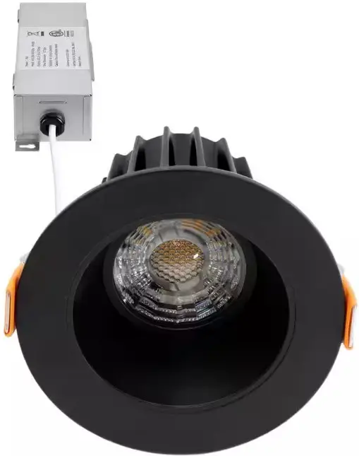Trimless Downlight