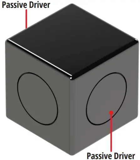 Dual Passive Bass Radiators