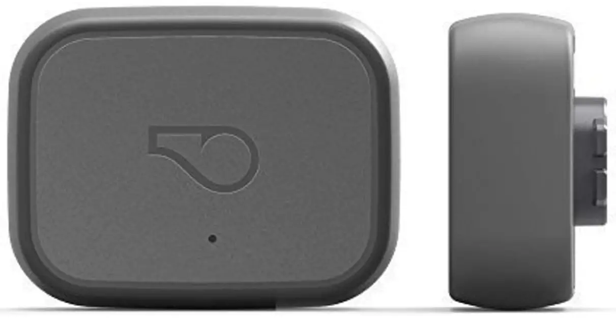 Whistle-3-GPS-Pet-Tracker-And-Activity-Monitor-Product