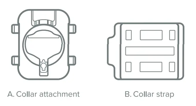 Whistle-3-GPS-Pet-Tracker-And-Activity-Monitor-fig-8