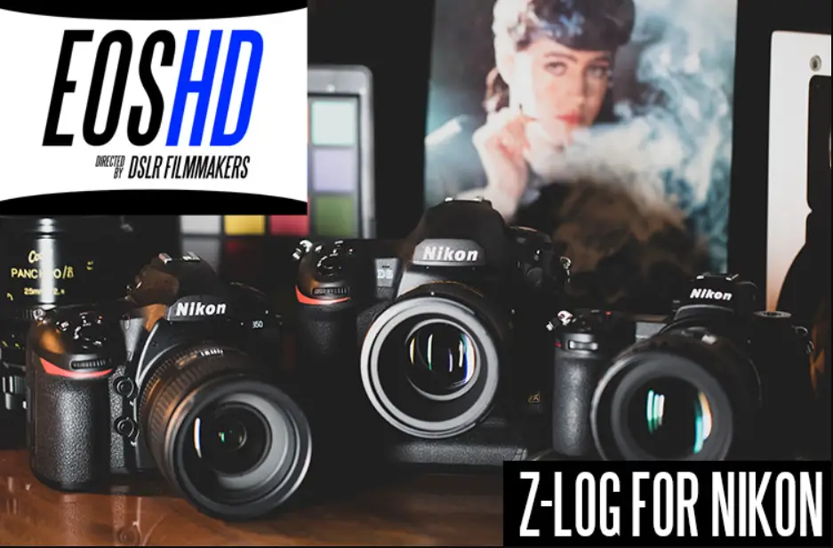 Nikon N-log Digital Camera User Guide