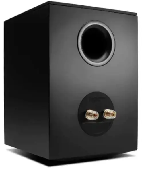 Cambridge-Audio-EVO-S-Bookshelf-Speakers-product