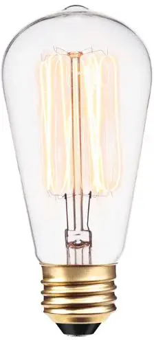 RIVER OF GOODS E26 Type A.60W LED Filament Light Bulbs-PRODUCT