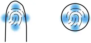 Fingerprint Collection