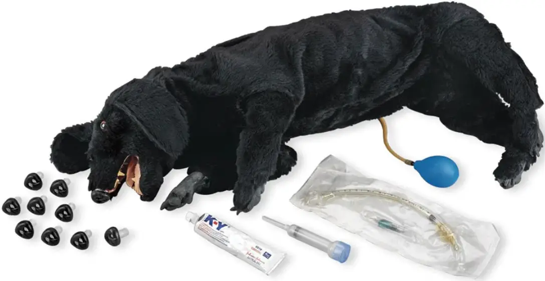 Nasco LF01156 Life form Basic Sanitary CPR Dog