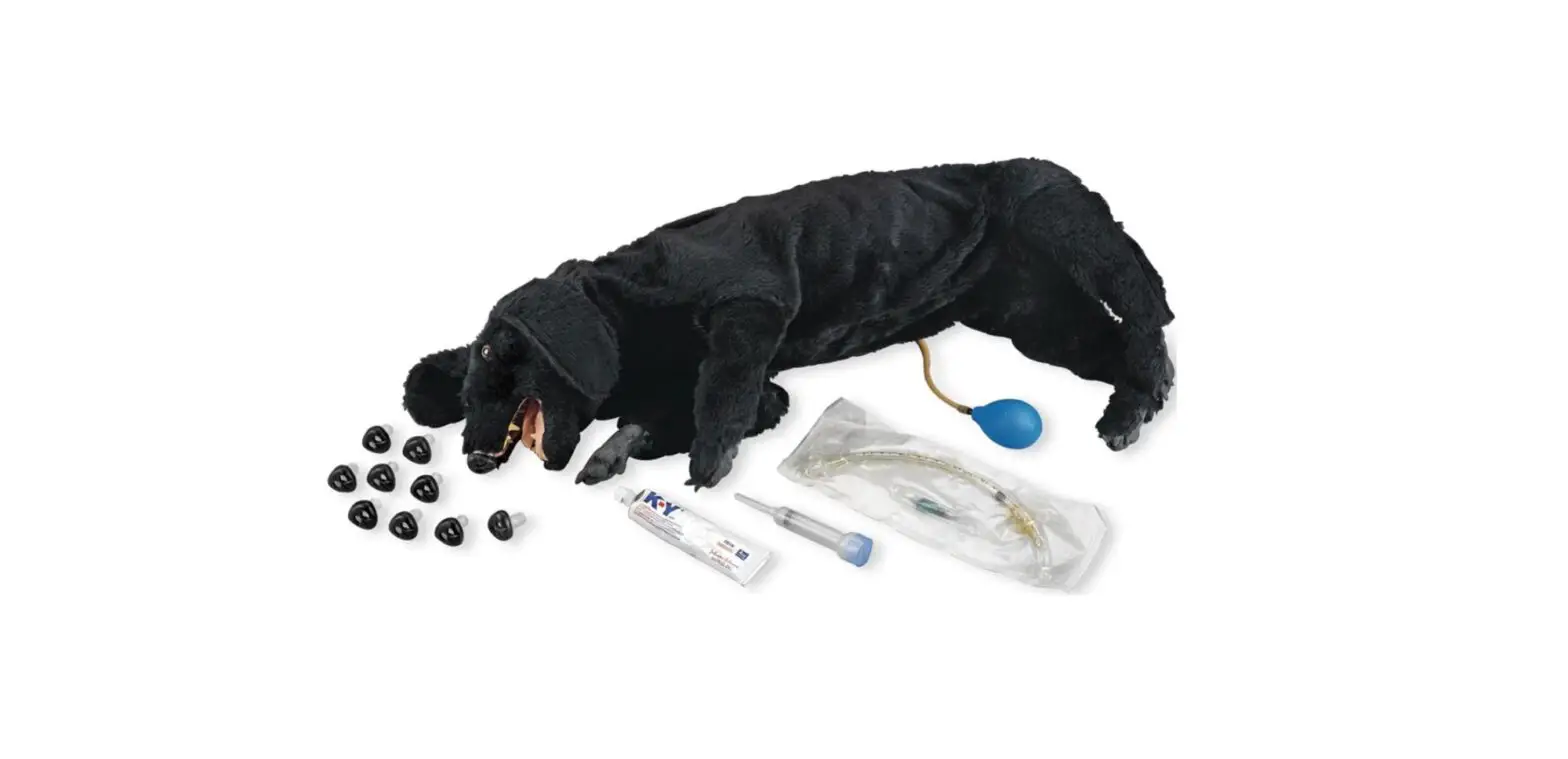 Nasco Lf01156 Life Form Basic Sanitary Cpr Dog Instruction Manual Nasco Lf01156 Life Form Basic Sanitary Cpr Dog Instruction Manual