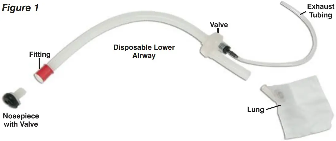 Setting Up the Airway