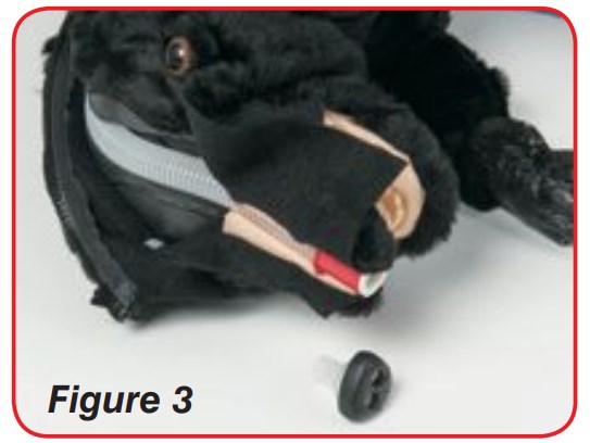 Replacing the Airway