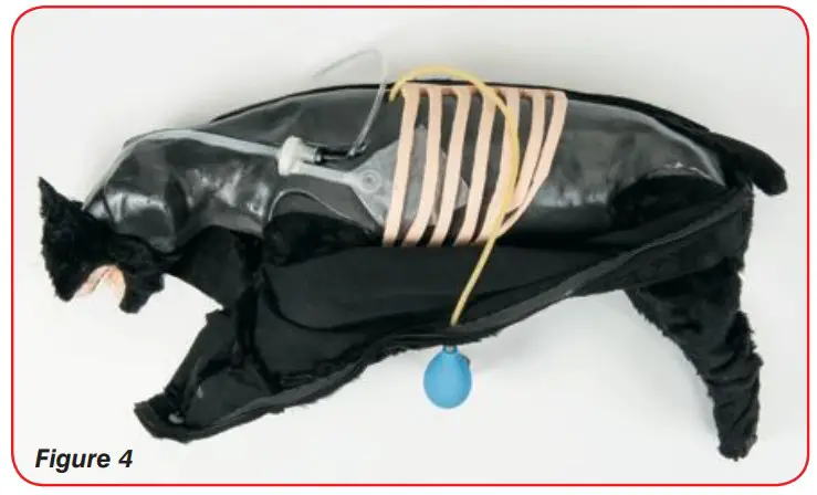 Replacing the Airway