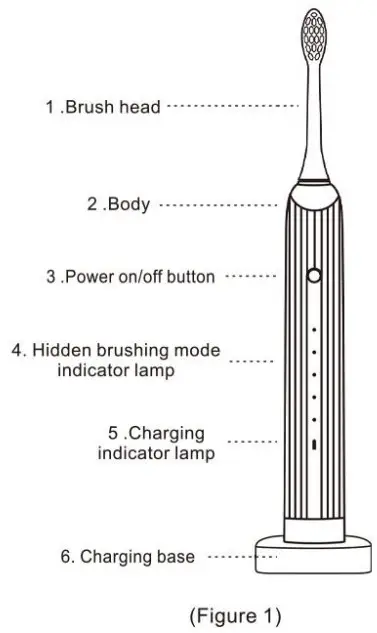 Horkey Sonic Electric Toothbrush - fig