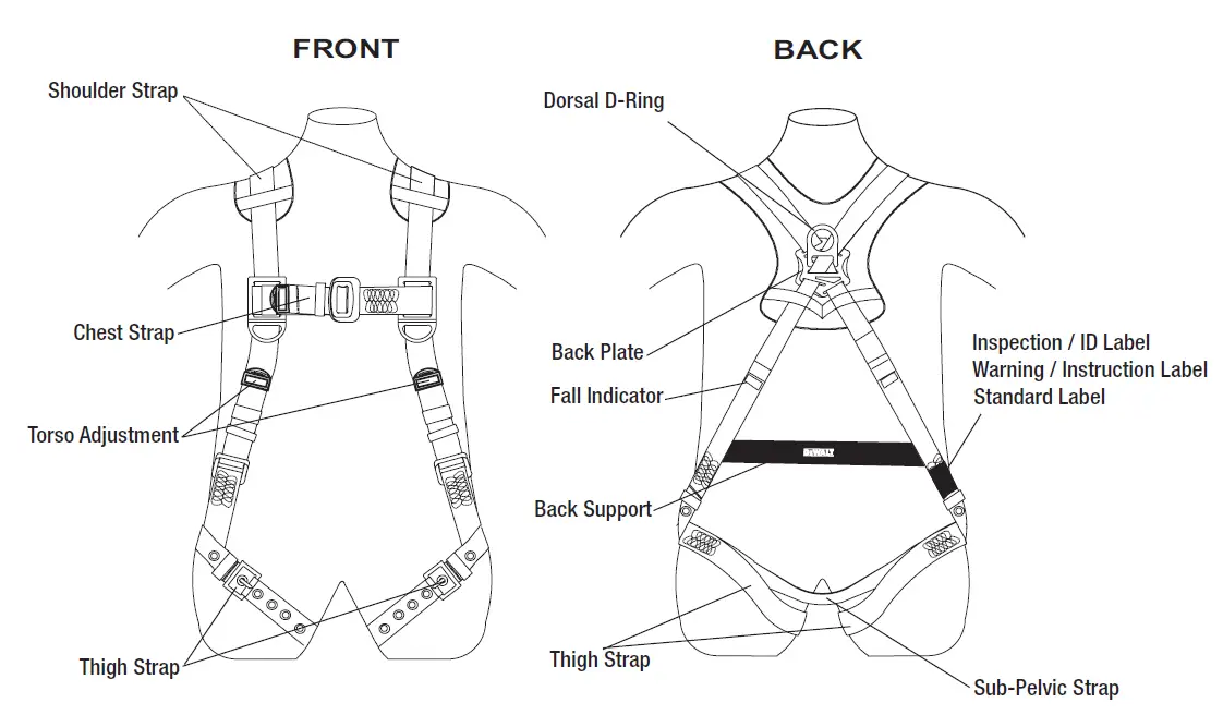 DEWALT-D3000-Series L-XL-TB-Leg-QC-Chest-Vest-Style-Harness-04