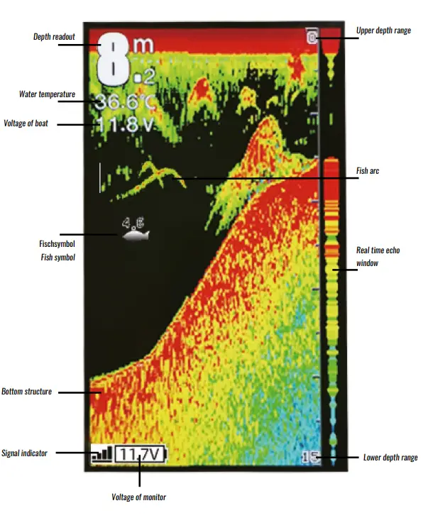 What’s On The Display