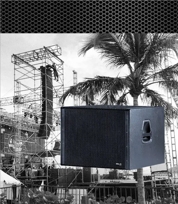 PRO DG SYSTEMS GTA 118 B SW Self Powered Subwoofer