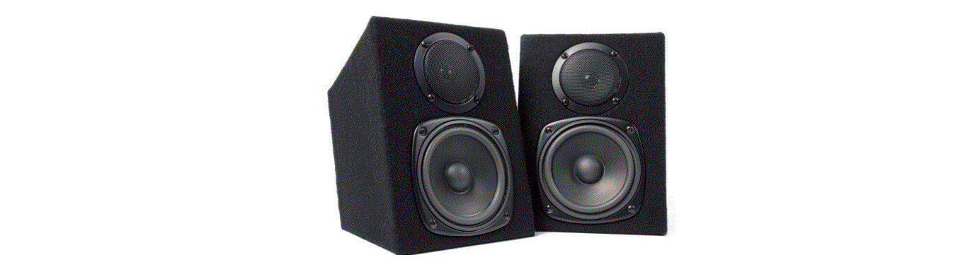 Fenton Dms40 Speaker Dj Monitor User Manual