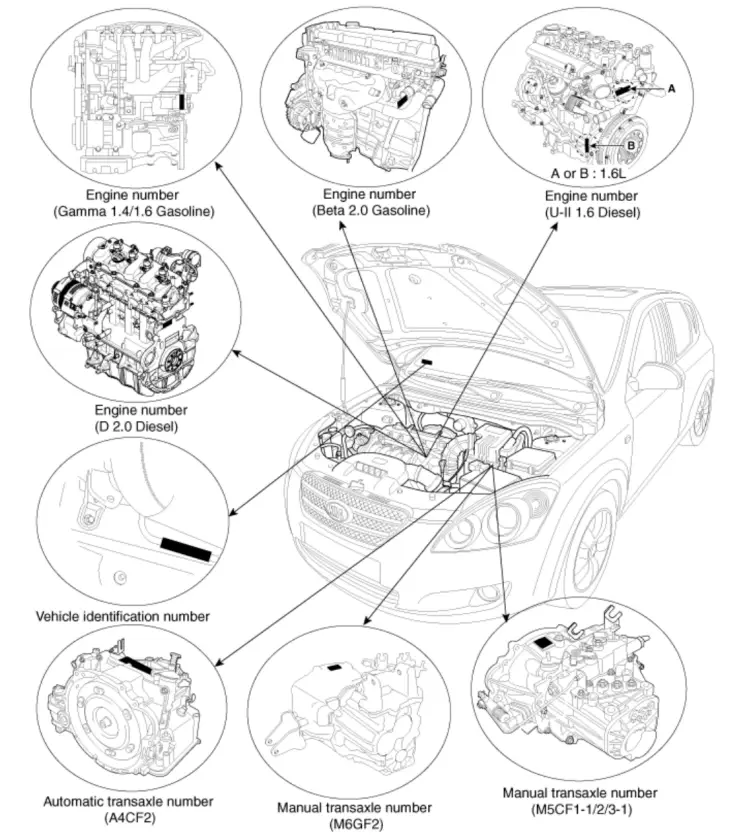 Identification Number Locations