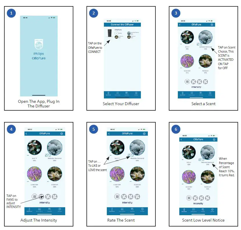 PHILIPS OlfaPure Aroma Commemorative Car Air Purifier User Manual-fig-6