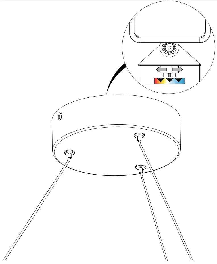 Lighr Colore Adjstment