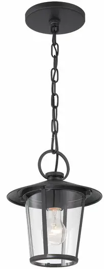 CRYSTORAMA AND-9203-CL-MK Andover One Light Outdoor Chandelier