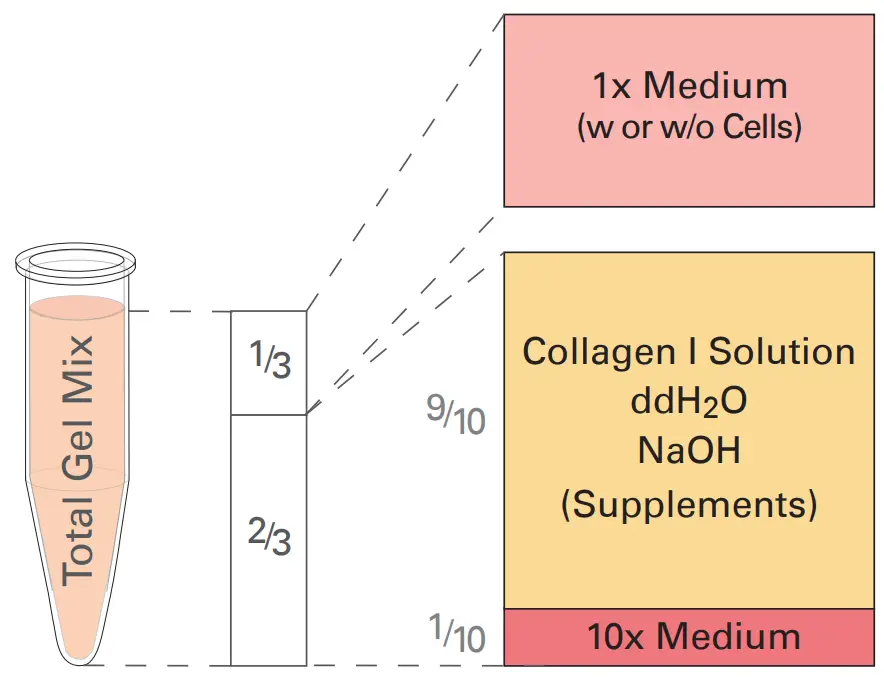 General 3D Gel Protocol