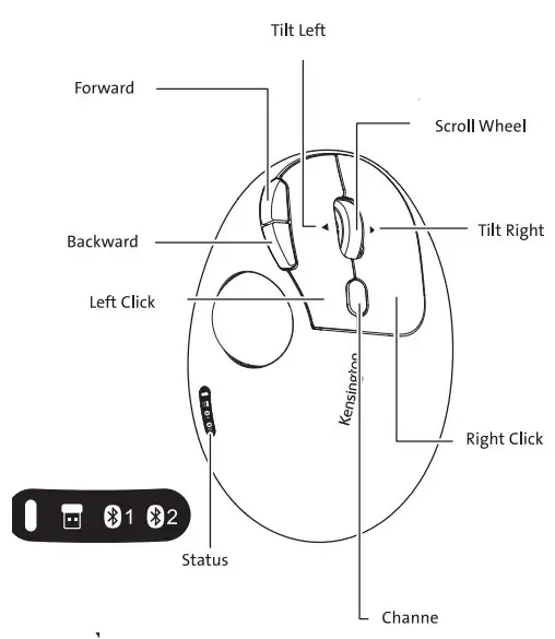 Product Instructions
