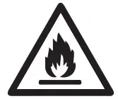 Fire icon