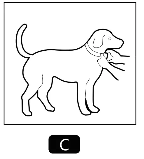 How to Put the collar on your Pet Properly