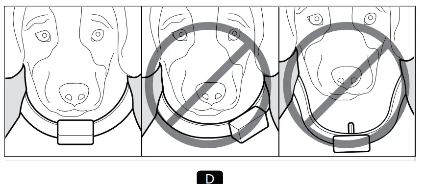 How to Put the collar on your Pet Properly