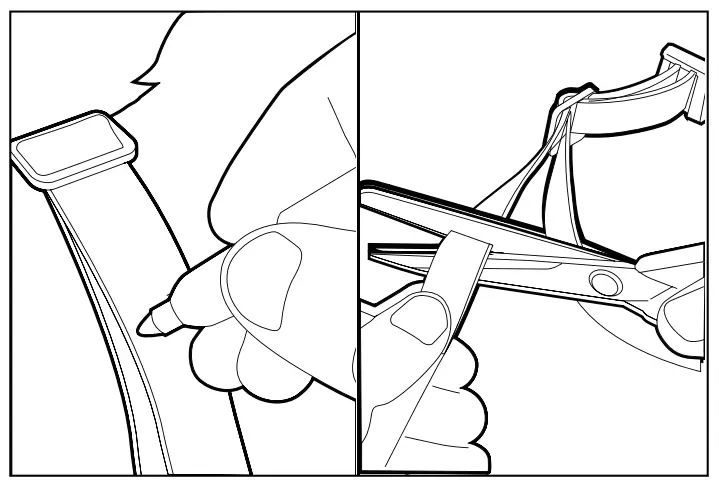 How to Put the collar on your Pet Properly