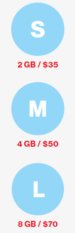 Verizon-Wireless-Application-fig-1