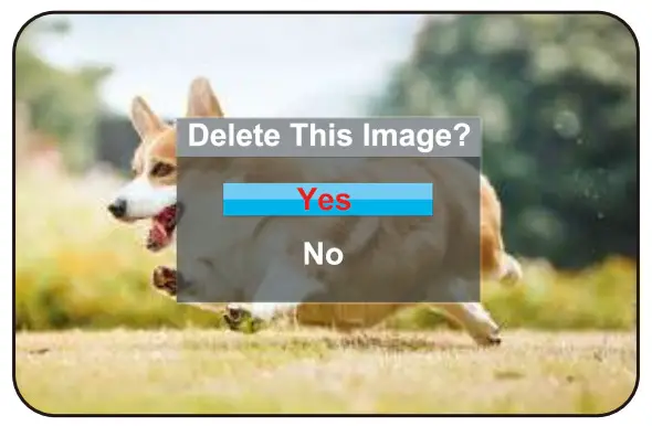 Bifevsr B0BZJH38Y4 4K Digital Camera with Viewfinder Flash and Dial - Take Videos4