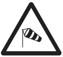 DANGER Icon