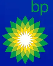 bp pulse Pro Charger Smart - logo 1