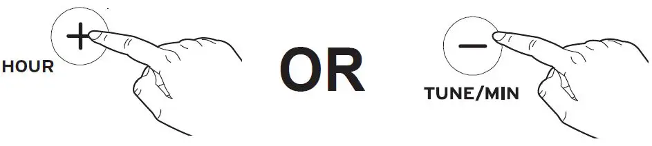 Timex T231 AM-FM DUAL ALARM CLOCK RADIO-fig- (21)