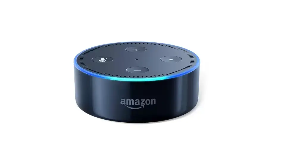 Amazon Echo & Alexa Brand Usage For Guidelines