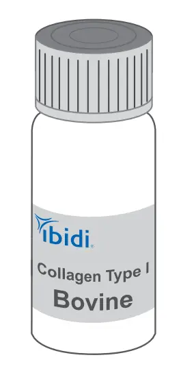 ibidi 50301 Collagen Type I Rat Tail or Bovine