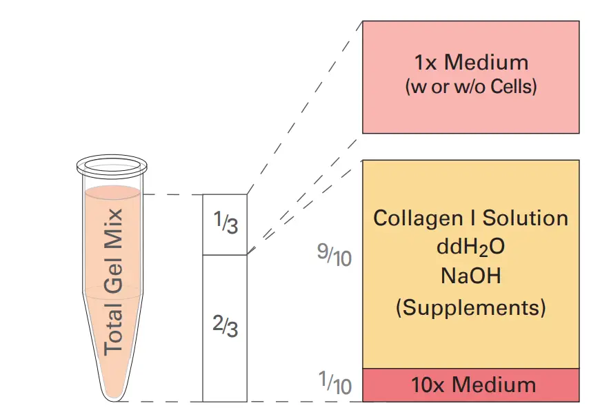 General 3D Gel Protocol