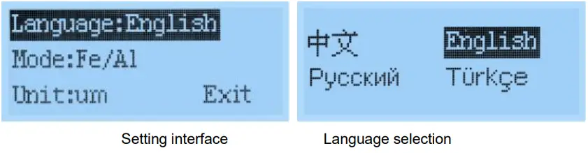 Linshang LS233 Coating Thickness Gauge - Language settings
