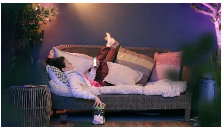 PHILIPS-17465-47-P7-Daylo-Outdoor-Wall- Light-FIG-2