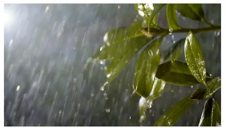 PHILIPS-17465-47-P7-Daylo-Outdoor-Wall- Light-FIG-7