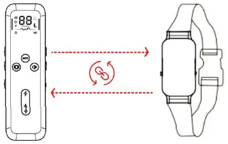 Fdceligoo FDDTC001 Dog Training Anti Bark Collar - feager