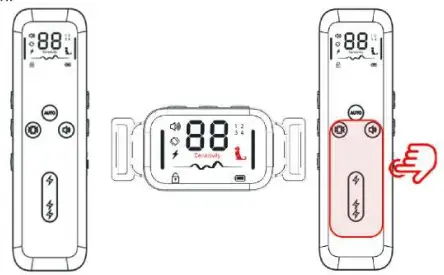 Fdceligoo FDDTC001 Dog Training Anti Bark Collar - trainning